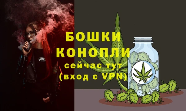 твердый Карпинск