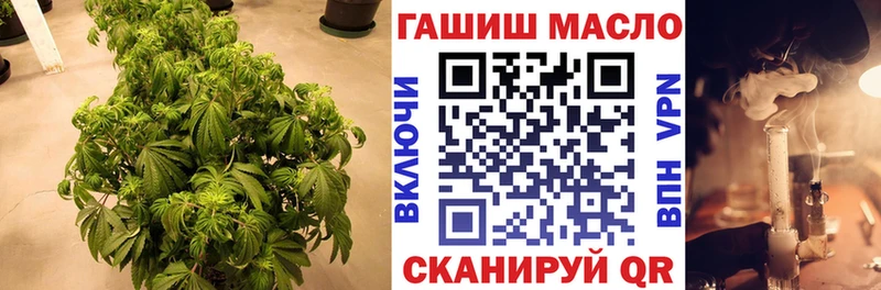 ТГК жижа  блэк спрут онион  Железногорск  магазин продажи наркотиков 